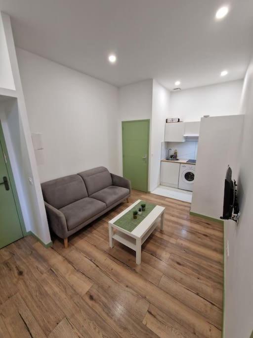 סן-אטיין Magnifique Appartement De Type 2 מראה חיצוני תמונה